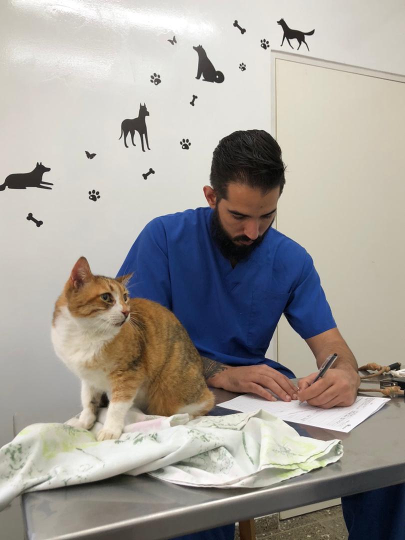 Atención veterinaria personalizada