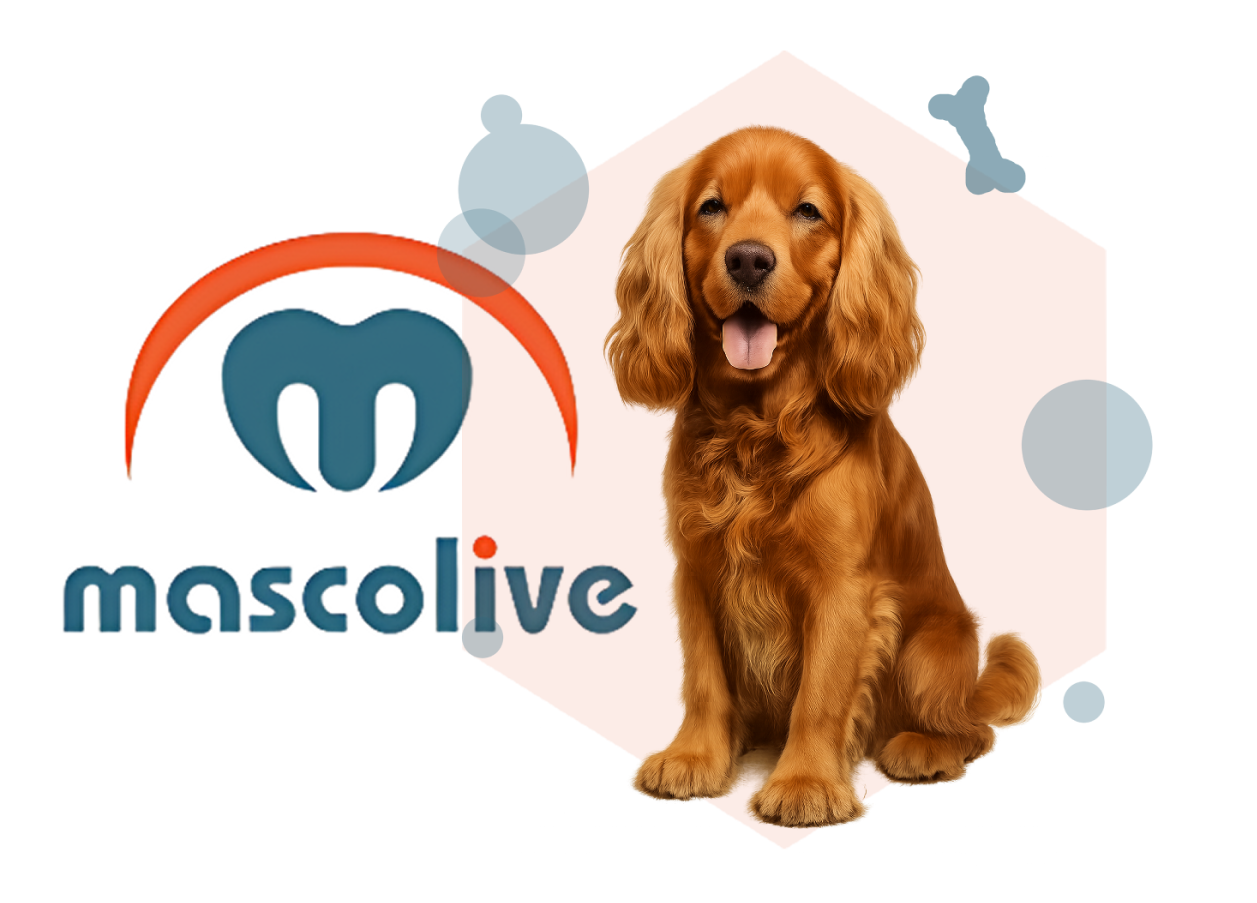 Mascotas